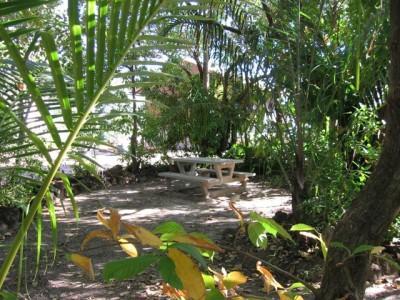 Hotel Crab Claw Island Bynoe Harbour Exterior foto